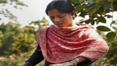 தடைகளை தகர்க்கும் ஜார்கண்ட் பெண்கள்; கட்டுமானப் பணிகளில் ஆண்களுக்கு டஃப் கொடுக்கும் 50,000 பெண் கொத்தனார்கள்!