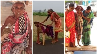 Watch: ಮುರಿದ ಕುರ್ಚಿಯೇ ಆಸರೆ, ಸುಡುವ ಬಿಸಿಲಲ್ಲಿ ಬರಿಗಾಲಿನಲ್ಲಿ ಕುಂಟುತ್ತಲೇ ಬ್ಯಾಂಕ್‌ಗೆ ಬಂದ 70 ವರ್ಷದ ಅಜ್ಜಿ!