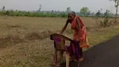 Viral Video: పింఛను కోసం 70 ఏండ్ల వృద్ధురాలి పాట్లు.. మండుటెండలో.. చెప్పులు లేకుండా.. 