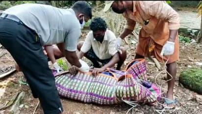 'പൂട്ടിയിട്ട വീടിനുള്ളിൽ ദുർഗന്ധം, പൊലീസെത്തി വാതിൽ ചവിട്ടിത്തുറന്നു'; സ്ത്രീയുടെ മൃതശരീരം പുഴുവരിച്ച നിലയിൽ