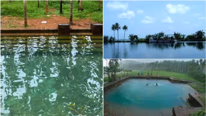 Water Census report: West Bengal tops list with most reservoirs; Kerala ranks 12