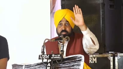 punjab cm bhagwant man