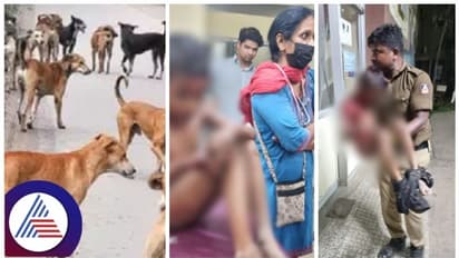 ನಮಾಜ್ಗೆ ಹೋಗುತ್ತಿದ್ದ ಬಾಲಕನ ಮೇಲೆ 15 ನಾಯಿಗಳು ದಾಳಿ: ಸಾವು ಬುದುಕಿನ ನಡುವೆ ಹೋರಾಟ
