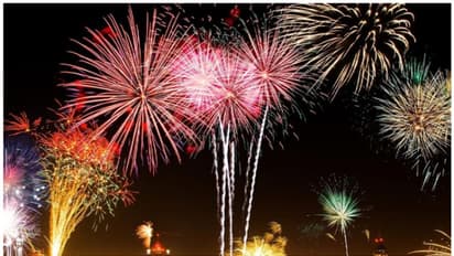 മരട് കൊട്ടാരം ക്ഷേത്രത്തിലെ വെടിക്കെട്ടിന് അനുമതിയില്ല; കാരണങ്ങൾ വിശദമാക്കി കളക്ടര്‍