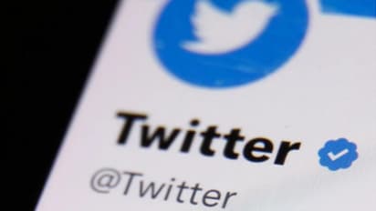 Is Elon Musk paying for Stephen King, LeBron James' blue ticks?