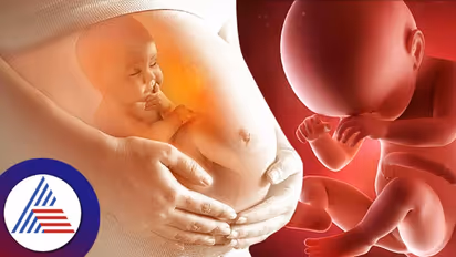 Vastu tips for pregnancy: ಬಂಜೆತನ ಹೋಗಲಾಡಿಸಲು ಪರಿಣಾಮಕಾರಿ ಸಲಹೆಗಳು..