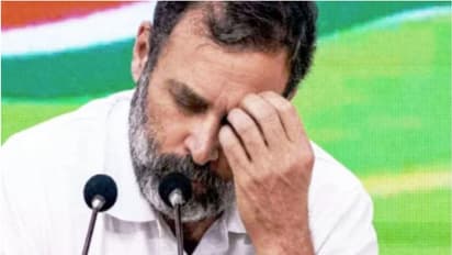 നിയമപോരാട്ടം ശക്തമാക്കും, രാഹുലിനെ അയോഗ്യനാക്കിയ വിധിക്കെതിരെ കോണ്ഗ്രസ് ഗുജറാത്ത് ഹൈക്കോടതിയിലേക്ക്