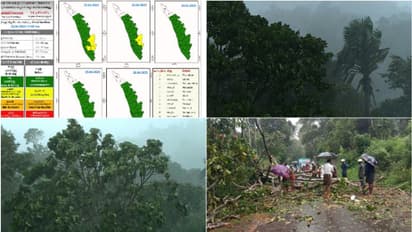 വേനൽമഴ മെച്ചപ്പെടുന്നു, ഒറ്റപ്പെട്ട ഇടങ്ങളിൽ  ശക്തമായ മഴക്ക് സാധ്യത, ഇടുക്കിയിൽ ഇന്ന്  യെല്ലോ അലർട്ട്