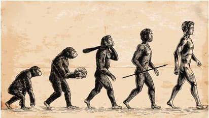 ಮಂಗನಿಂದ ಮಾನವ ವಿಜ್ಞಾನ ಬದಲಾಗುವ ಸಾಧ್ಯತೆ, ಪೂರ್ವಜರಿಗಿಂತ ಭಿನ್ನ ಪುರಾತನ ತಲೆಬುರುಡೆ ಪತ್ತೆ!