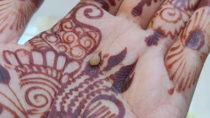 'പല്ല് പൊട്ടേണ്ടതായിരുന്നു';എയര്പോര്ട്ടിലെ ഭക്ഷണത്തില് നിന്ന് യുവതിക്ക് കിട്ടിയത്...