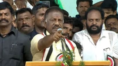 ஆட்சியின் மீதுள்ள அதிருப்தியை திசை திருப்ப சனாதனம் என்ற போர்வையில் மக்களை ஏமாற்றும் திமுக- விளாசும் ஓபிஎஸ்