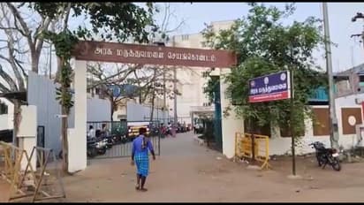 புளி பறிப்பதில் உடன் பிறப்புகளிடையே மோதல்; தம்பி கொலை