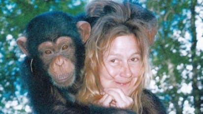 സുഹൃത്തിന്റെ വീട്ടിലെ ചിമ്പാൻസി കടിച്ചുകീറി, ഇന്ന് കഴിയുന്നത് കെയർഹോമിലെ ഒരു മുറിയിൽ തനിച്ച്