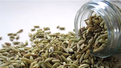 വേനല്ക്കാലത്ത് ഡയറ്റില് ഉള്പ്പെടുത്താം ഈ സുഗന്ധവ്യജ്ഞനങ്ങള്...