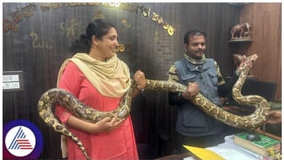 ಬೆಂಗಳೂರು ನಿವಾಸಿಗಳೇ ಎಚ್ಚರ!: ಅಂಜನಾಪುರದಲ್ಲಿ ಬೃಹತ್‌ ಗಾತ್ರದ ಹೆಬ್ಬಾವು ಪತ್ತೆ!