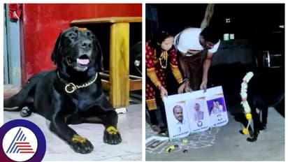 ಮಂಡ್ಯದಲ್ಲಿ ಶ್ವಾನ ನುಡಿದ ಭವಿಷ್ಯ ನಿಜವಾಗುತ್ತಾ? ಯಾರಾಗ್ತಾರೆ ಮುಂದಿನ ಸಿಎಂ?