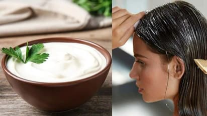 Hair Care: పెరుగులో ఇదొక్కటి కలిపి రాస్తే,జుట్టు రెండింతలు వేగంగా పెరుగుతుంది..!