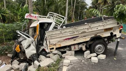 സിമന്‍റ് കട്ടകളുമായി വന്ന പിക്കപ്പ് വാൻ നിയന്ത്രണം തെറ്റി തെങ്ങിലിടിച്ചു; മൂന്ന് പേർക്ക് പരിക്ക്