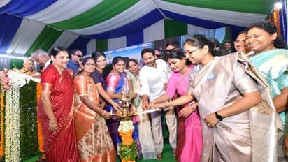 మాంసం తినే పులి మారుతుందా?: ముసలి పులితో బాబును పోలుస్తూ  జగన్ సెటైర్లు 