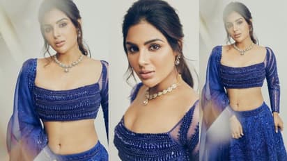 ബിഗ് ബഡ്ജറ്റ് ചിത്രങ്ങൾക്ക് മാത്രമേ പ്രമോഷന് ഇറങ്ങുകയുള്ളോ?; നിലപാട് വ്യക്തമാക്കി സംയുക്ത