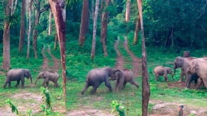 ಬೇಸಿಗೆ ರಜೆಯಲ್ಲಿ ಮಕ್ಕಳ ಜಗಳ ಬಿಡಿಸಿ ಸುಸ್ತಾಗಿದ್ಯಾ... ಹಾಗಿದ್ರೆ ಈ ವಿಡಿಯೋ ನೋಡಿ