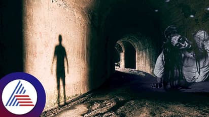 Ghost and Science: ನೀವೆಂದಾದರೂ ದೆವ್ವ ಕಂಡಿದ್ದೀರಾ? ದೆವ್ವ-ಭೂತಗಳು ಯಾಕಾಗಿ ಕಾಣುತ್ತವೆ ಗೊತ್ತೇ?