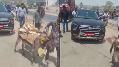 തകരാറിലായ കാര് പൊരിവെയിലത്ത് കഴുതയേക്കൊണ്ട് കെട്ടിവലിപ്പിച്ച് കാറുടമ, രൂക്ഷ വിമര്ശനം