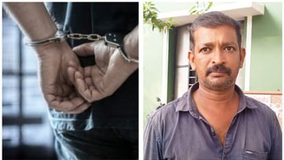 വാഹനങ്ങളിൽ നിന്ന് ബാറ്ററിയും അനുബന്ധ ഉപകരണങ്ങളും മോഷ്ടിക്കും; സംഘത്തിലെ ഒരാൾ പിടിയിൽ