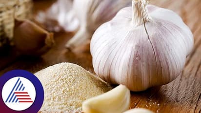 Health Food : ಬೆಳ್ಳುಳ್ಳಿ ಪೌಡರಿನಲ್ಲಿದೆ ಆರೋಗ್ಯದ ಗುಟ್ಟು!