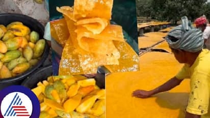 Aam Papad: ಮಾವಿನಹಣ್ಣಿನ ಹಪ್ಪಳ ತಯಾರಿಸೋದು ಹೇಗೆ? ವೀಡಿಯೋ ವೈರಲ್
