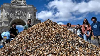 ഒരാഴ്ച കൊണ്ട് ശേഖരിച്ചത് ആറരലക്ഷം സിഗരറ്റ് കുറ്റികൾ; സിഗരറ്റ് മല നിർമ്മിച്ച് പരിസ്ഥിതി പ്രവർത്തകർ