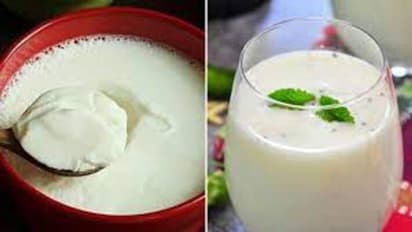 Curd Vs Buttermilk: పెరుగు Vs మజ్జిగ.. ఎండకాలం ఏది తీసుకుంటే మంచిది?