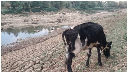 കബനി വരണ്ടു; ഉണര്ന്നു പ്രവര്ത്തിച്ച് കര്ണാടക, ഡാമുകളില് ഇപ്പോഴും വെള്ളം സുലഭം