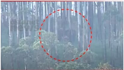 അരിക്കൊമ്പന്‍ ദൗത്യമേഖലയില്‍, ഒപ്പം വെറേയും ആനകള്‍; ഉടന്‍ മയക്കുവെടി വയ്ക്കും