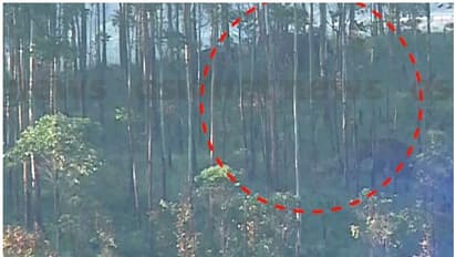 ദൗത്യം വിജയത്തിലേക്ക്; അരിക്കൊമ്പനെ മയക്കുവെടിവെച്ചു, ആന മയങ്ങിത്തുടങ്ങി