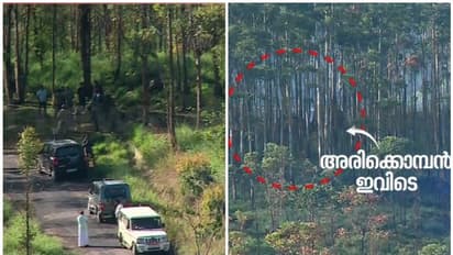 അരിക്കൊമ്പന് ആനക്കൂട്ടത്തിനൊപ്പം; കൂട്ടം തെറ്റിക്കാന് പടക്കം പൊട്ടിച്ചു, പൊസിഷന് കാത്തിരിക്കുന്നു