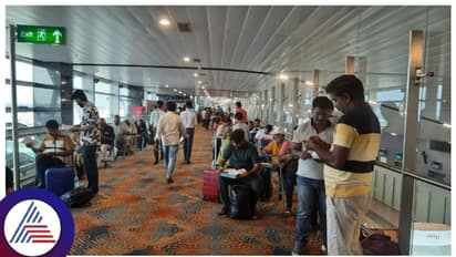சூடானில் இருந்து 366 இந்தியர்கள் பெங்களூர் திரும்பினர்...  அதில் 52 பேர் தமிழகத்தைச் சேர்ந்தவர்கள் என தகவல்!! 