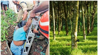 റബർ തോട്ടത്തിലെ 30 അടിയോളം താഴ്ചയുള്ള കുഴിയിൽ വീണ് വീട്ടമ്മയ്ക്ക് പരിക്ക്