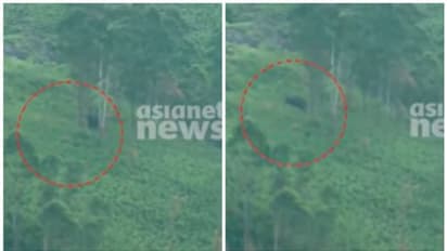 അരിക്കൊമ്പനെ കണ്ടെത്തി; സിമന്റ് പാലത്തിന് സമീപം, നിരീക്ഷണത്തിലെന്ന് വനംവകുപ്പ്