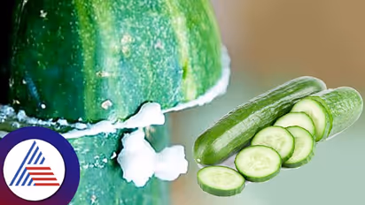 Kitchen Tips : ಸೌತೆಕಾಯಿ ಕಹಿ ಹೋಗಲಾಡಿಸಲು ಇಲ್ಲಿದೆ ಸುಲಭದ ಪರಿಹಾರ