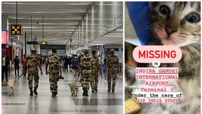 എയര്‍ലൈന്‍ ജീവനക്കാരുടെ അശ്രദ്ധ; വളര്‍ത്തുപൂച്ചയെ ദില്ലി വിമാനത്താവളത്തില്‍ നഷ്ടമായെന്ന് ഉടമ 