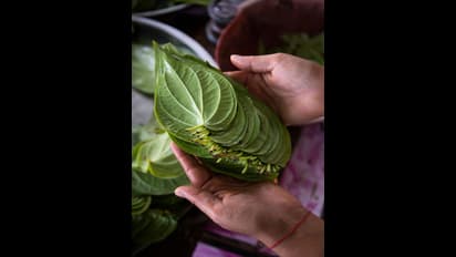 நவராத்திரி 2023: நிதி நெருக்கடியா? இந்த பரிகாரம் செய்யுங்கள்; இனி பணத் தட்டுப்பாடு இருக்காது!!