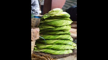 తమలపాకును తింటే ఇలా అవుతుందా?