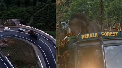 അരിക്കൊമ്പൻ യാത്ര ചെയ്‍ത ആ പൊളപ്പൻ റോഡിന് കയ്യടിക്കേണ്ടത് ആര്‍ക്ക്? ഇതാ അറിയേണ്ടതെല്ലാം!