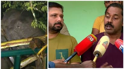 'അഞ്ച് മയക്കുവെടി വെച്ചത് അരിക്കൊമ്പന്റെ ആരോ​ഗ്യത്തെ ബാധിക്കില്ല'; നിരീക്ഷണം തുടരുമെന്ന് ദൗത്യസംഘം