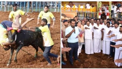 மதுரையில் ஜல்லிக்கட்டு போட்டி..! சீறிப்பாயும் காளைகள்- அடக்கும் வீரர்கள்- முதல் முறையாக பெண் வர்ணனையாளர்கள்