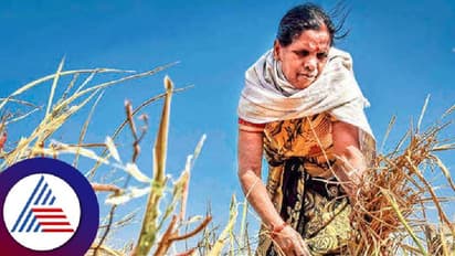 ಚುನಾವಣೆ ಪ್ರಚಾರಕ್ಕೆ ಕೂಲಿ ಕಾರ್ಮಿಕರು; ಕೃಷಿ ಕೆಲಸಕ್ಕೆ ಸಿಗುತ್ತಿಲ್ಲ ಜನರು!