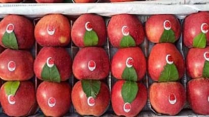 ആപ്പിൾ ജ്യൂസിനെ ചൊല്ലി തർക്കം; എയർപോർട്ട് ജീവനക്കാരെ കടിച്ചും തലമുടിയിൽ പിടിച്ചുവലിച്ചും 19 -കാരിയുടെ അതിക്രമം