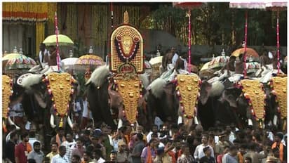 തൃശ്ശൂര്‍ പൂരം; ഇത്തവണ 18,000 പേര്‍ക്ക് അധികമായി വെടിക്കെട്ട് കാണാം, സ്വരാജ് റൗണ്ടിൽ സംവിധാനമെന്ന് മന്ത്രി 