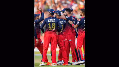 ഡേവിഡ് വില്ലിക്ക് പകരക്കാരനായി! ലഖ്‌നൗവിനെതിരെ മത്സരത്തിന് മുമ്പ് സര്‍പ്രൈസ് പുറത്തുവിട്ട് ആര്‍സിബി